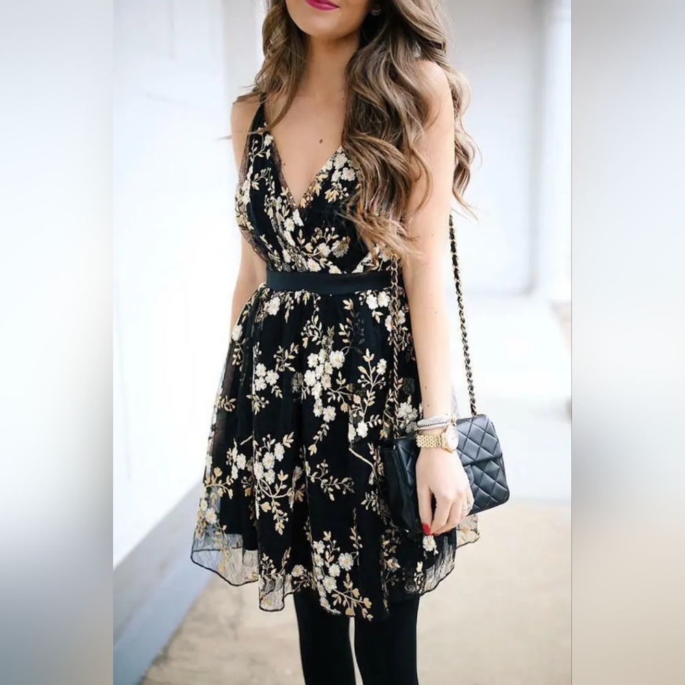 Express embroidered lace fit and flare
